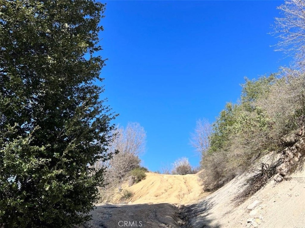 Cedar Glen (CEDG) - Land