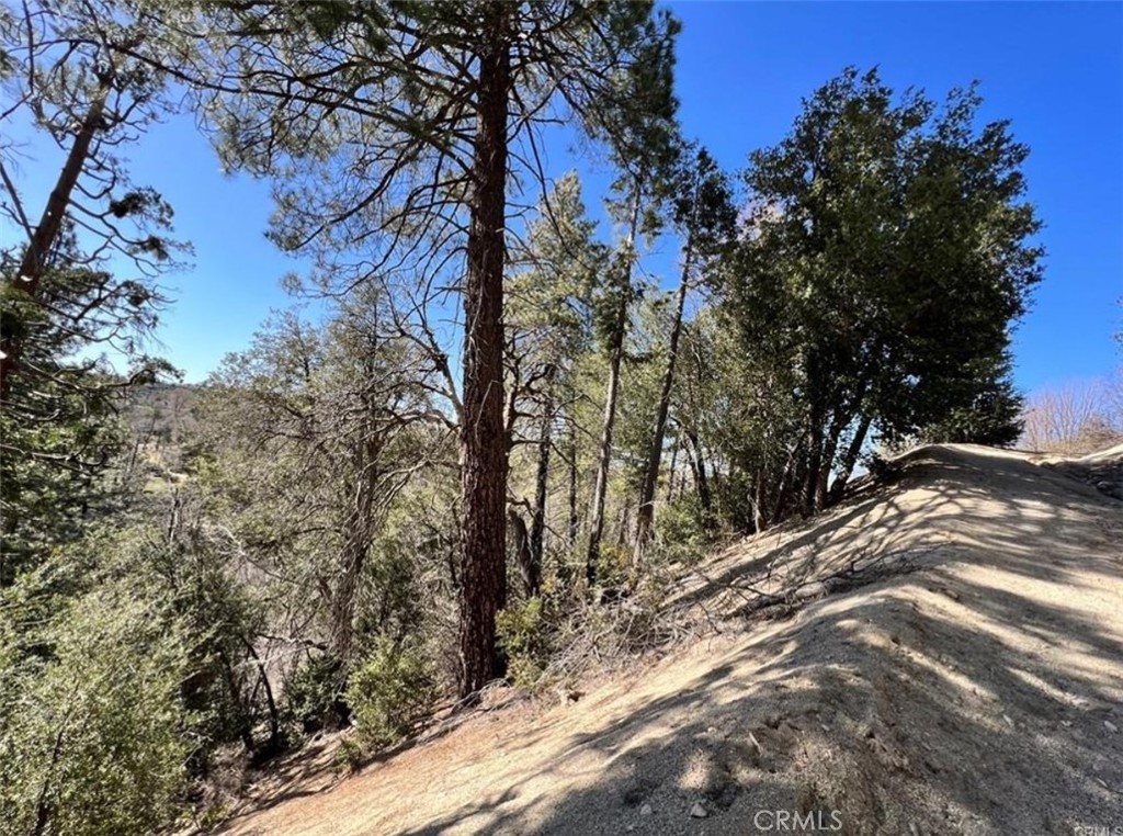 Cedar Glen (CEDG) - Land