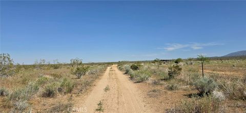 Photo of 0 175th St E W10, Llano, CA 93591 (MLS # SR26085036)