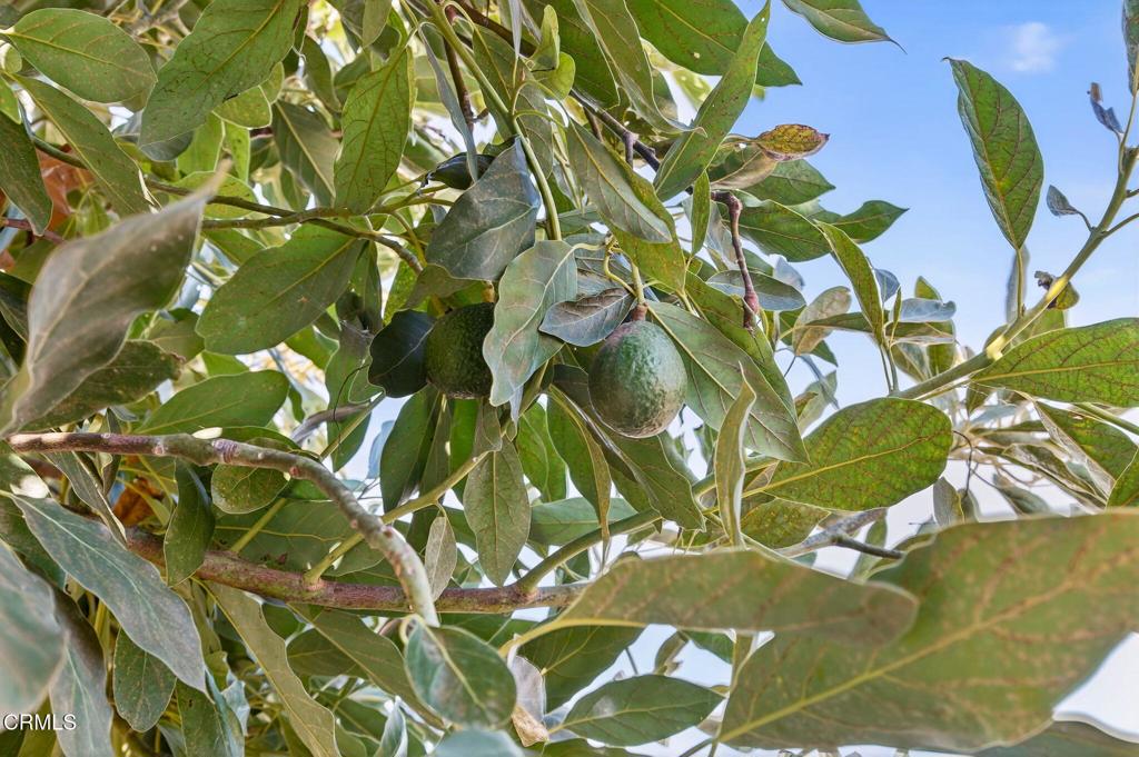 Sea View Estates 1 - 235901 - Residential