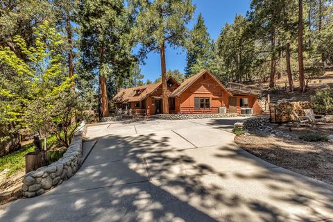 Photo of 54660 Mactecklewood Lane, Idyllwild, CA 92549 (MLS # 219147866DA)
