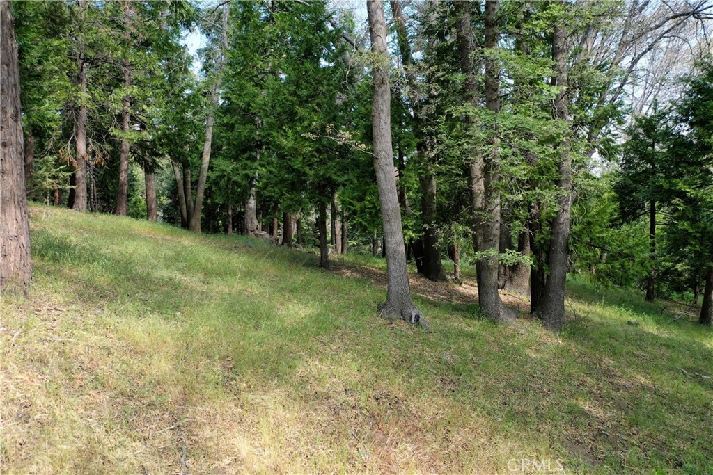 Arrowhead Woods (AWHW) - Land