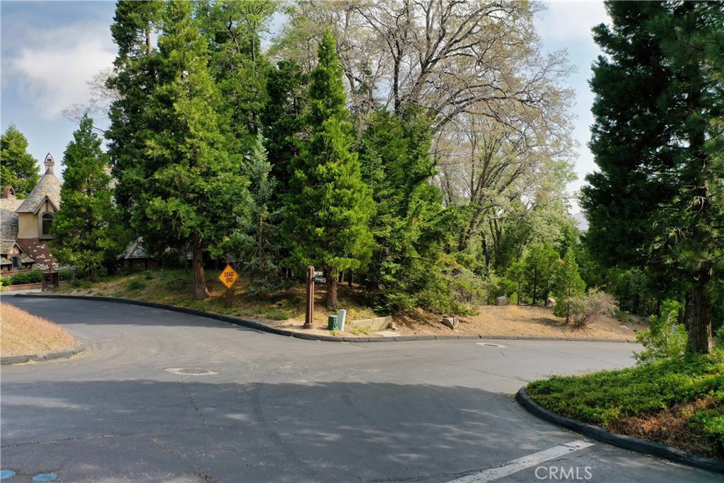 Welcome to Cedar Ridge Estates, one of Lake Arrowhead’s most exclusive gated communities. This shy-acre parcel offers the perfect canvas to build your dream mountain estate, nestled among towering pines and surrounded by multi-million dollar custom homes. Set on a serene, tree-lined street, this premium lot boasts a gentle slope with excellent sun exposure, privacy, and partial lakeview with endless potential. Enjoy the prestige and security of this private gated enclave, along with underground utilities, lake rights, and a prime location just minutes from Lake Arrowhead Village, lake, schools, and recreational trails. Whether you're envisioning a luxurious full-time residence or an elegant vacation retreat, this is a unique opportunity to invest in one of the area's most coveted neighborhoods.