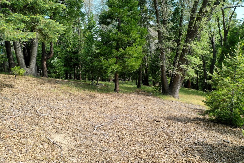 Arrowhead Woods (AWHW) - Land