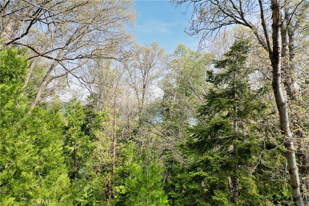 Arrowhead Woods (AWHW) - Land
