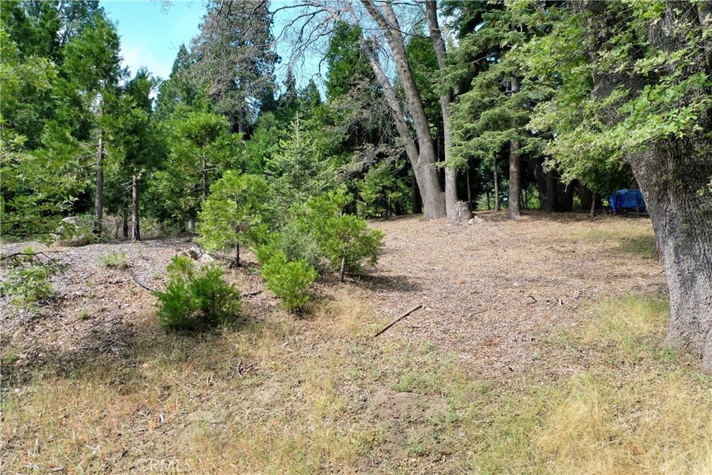 Arrowhead Woods (AWHW) - Land