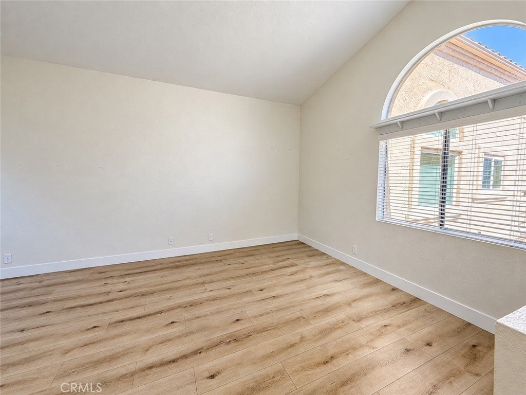 21156 Gladiolos