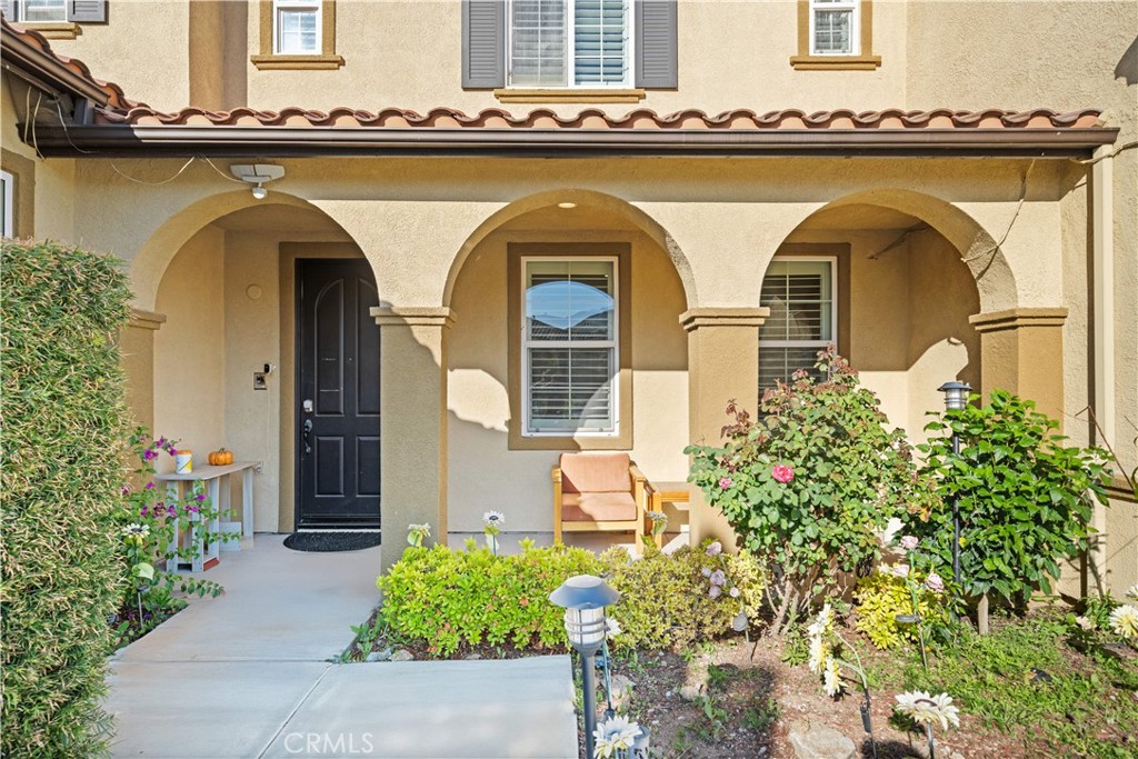 3101 Curly Horse Way