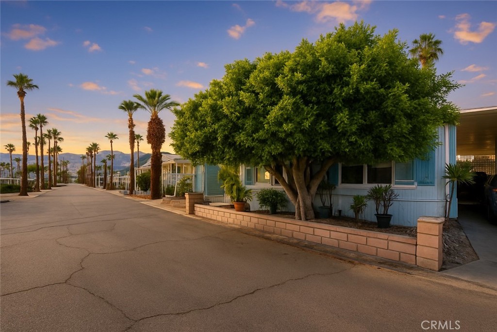 Charming 2-Bedroom Home in Royal Palms 55 & Better Community. Welcome to 497 Prairie, a spacious 1970 INTL Newport manufactured home offering an expansive 1368 sq. ft. of comfortable living in the desirable Royal Palms! This community has it all including, Heated outdoor pool and spa, Clubhouse for social gatherings & events (cards, bingo, billiards, etc.), Fitness centers, Dog parks / pet-friendly areas, BBQ / picnic area(s), Laundry facilities (community laundry), Gated community / security gate, just to name a few! This lovely home features two- huge bedrooms & two-bathrooms and is set on a perimeter lot, giving you extra space and privacy. Step inside from the covered deck into a bright, open living room, highlighted by large double picture windows that fill the space with natural light. The dining area, complete with a built-in hutch, flows seamlessly into the living area perfect for entertaining. The galley-style kitchen features a gas cooktop, wall oven, dishwasher, and great counter space. A cozy family room with sliding glass doors opens to the deck and a patio, ideal for morning coffee or evening gatherings. The guest bedroom comfortably fits a queen bed and includes a mini-split AC/heat unit for personalized comfort. Its ensuite bath also has a convenient second entrance from the living room. At the rear, the primary suite offers generous space with his-and-hers closets, a dressing area and a walk-in shower. This home is equipped with 3 separate mini-spits for cooling and heating to make this a very great place to be. You will never want to leave!!! This home sits on a larger-than-average with a huge yard and several mature fruit tress including Grapefruit and Lemons! WOW!!! A MUST SEE!! This home is very special & has direct access to community amenities, including the fitness center next door and the dog park across the street. Make it yours today! Monthly space rent: ONLY $895 Set up a tour NOW!!! DONT WAIT!!!