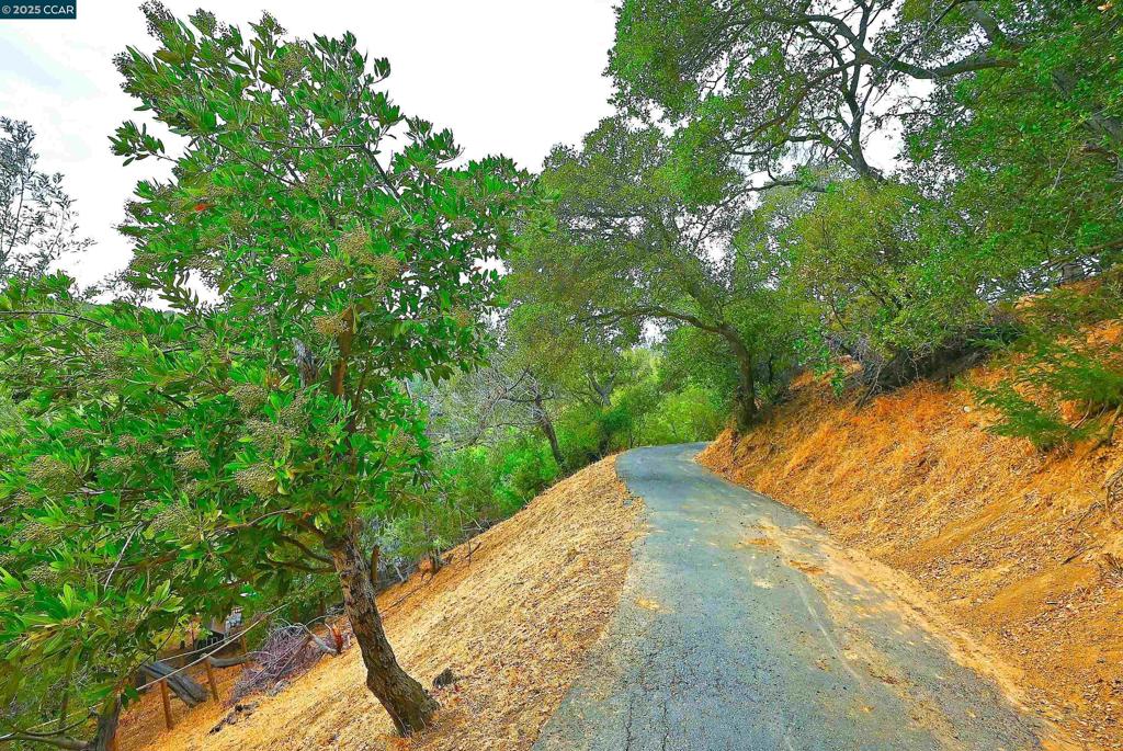 DOWNTOWN - Residential