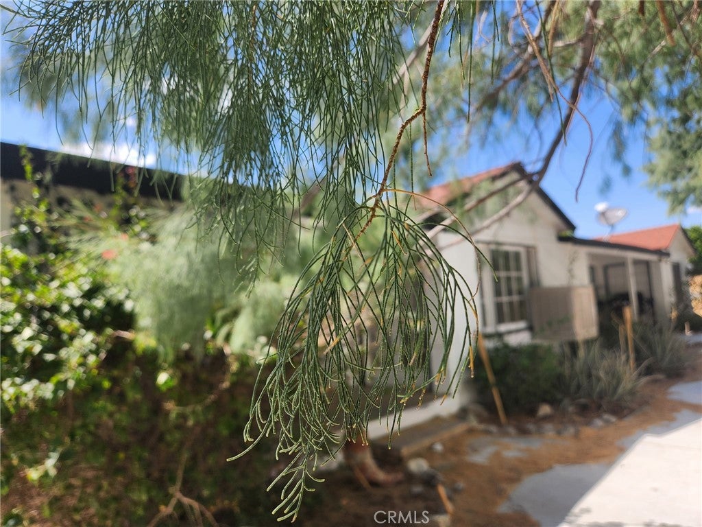 66271 Buena Vista