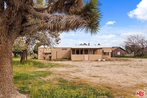 Photo of 4388 Amador Road, Phelan, CA 92371 (MLS # 26657165)