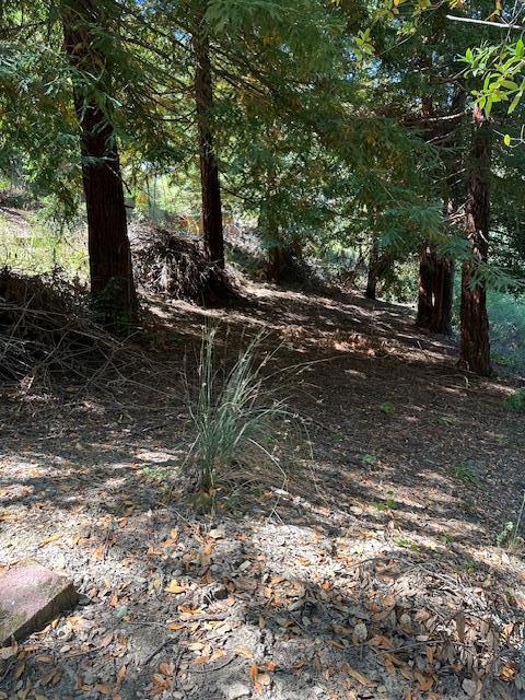 Build your dream home on this expansive 44,431 sq ft (1.02-acre) vacant lot nestled in Los Gatos, California, offers a perfect canvas. Enjoy the serenity of a quiet and prime location on a circle Drive, close to the excitement of Silicon Valley (20 miles) and the beauty of Santa Cruz (12 miles). The property sits close to highway 17, offering easy access via a paved asphalt driveway. Top-rated Los Gatos schools ensure a fantastic education for your family. Beyond the idyllic setting, this property boasts several unique features: Partially Flat with slight slope - The lot's mixed terrain allows for a captivating design. Power and water are readily available for connection. A new fire hydrant within 100 feet of the property, providing peace of mind. Breathtaking Views - This property boasts captivating views, adding to the overall appeal of your potential dream home. Don't miss this chance to create your own paradise in Los Gatos!