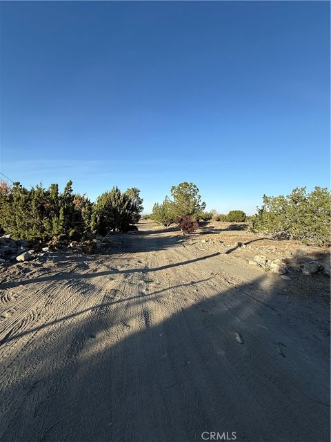 Photo of 3038 White Fox Trail, Phelan, CA 92371 (MLS # HD26077082)