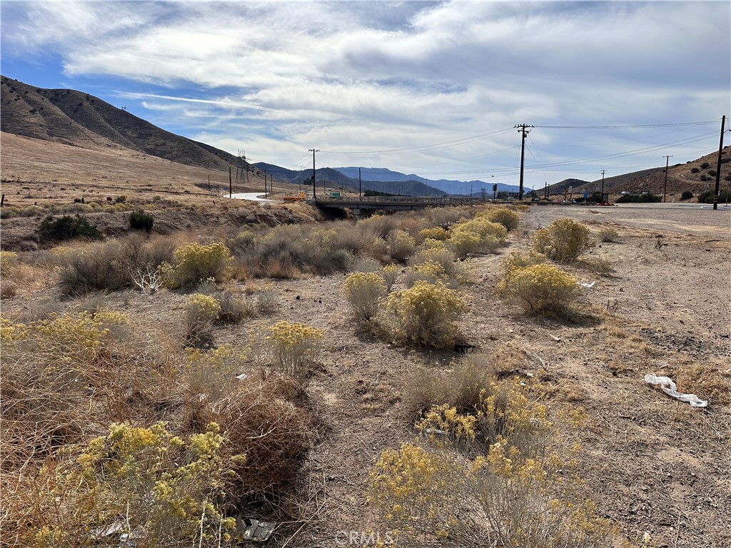 Custom Acton (CACTO) - Land