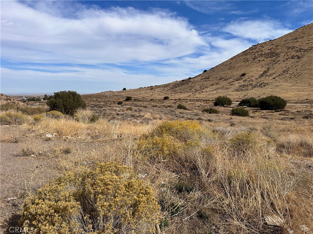 Custom Acton (CACTO) - Land