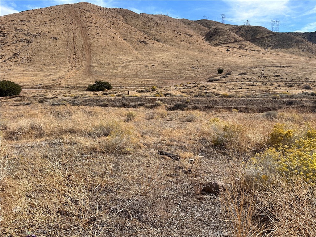 Custom Acton (CACTO) - Land