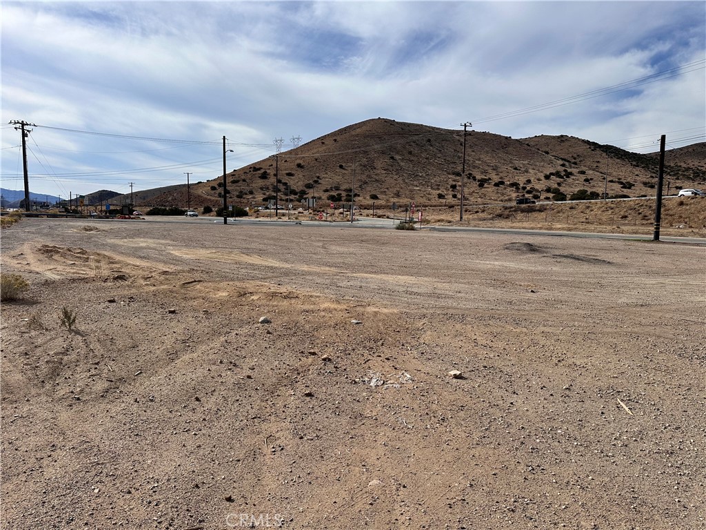 Custom Acton (CACTO) - Land