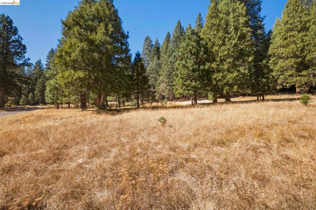 28130 Old Strawberry Road