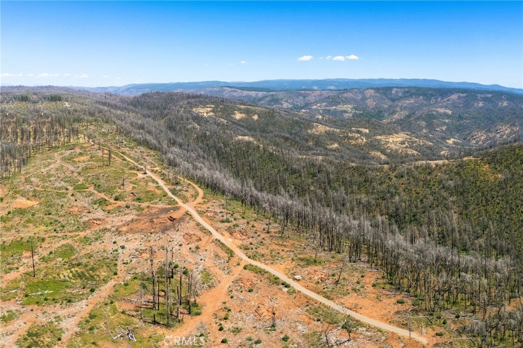 335 Mann And Nolta Ridge