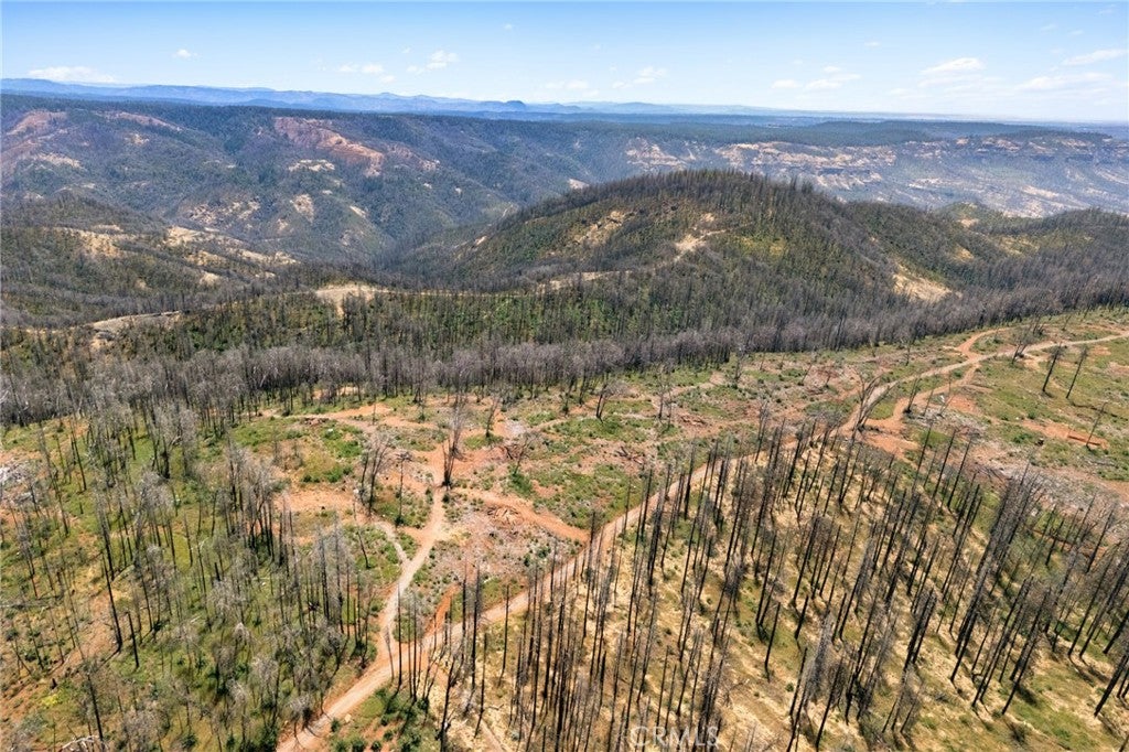 335 Mann And Nolta Ridge