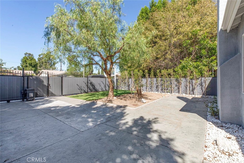 6206 Camellia