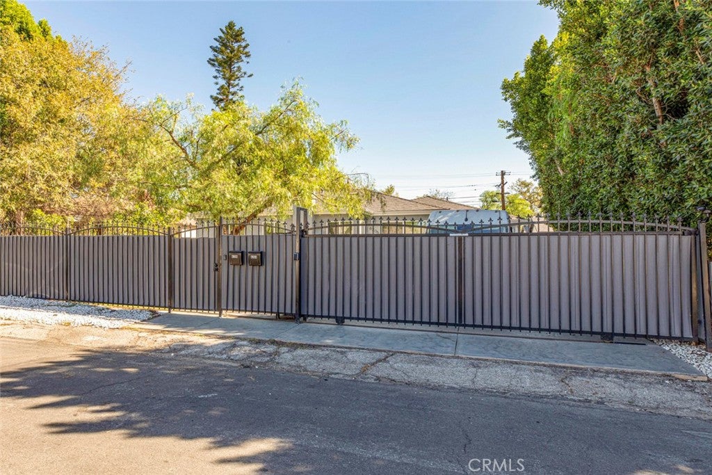 6206 Camellia
