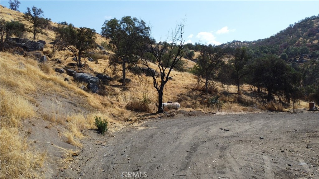 38938 Pepperweed Rd