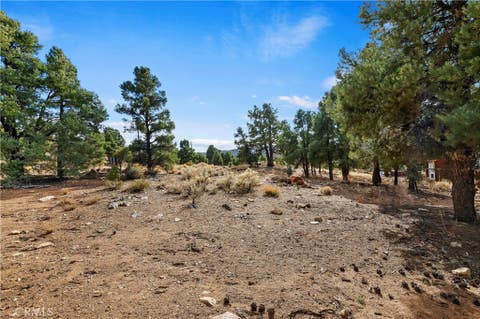 Photo of 0 Sunny Slope Lane, Big Bear City, CA 92314 (MLS # IG24007932)