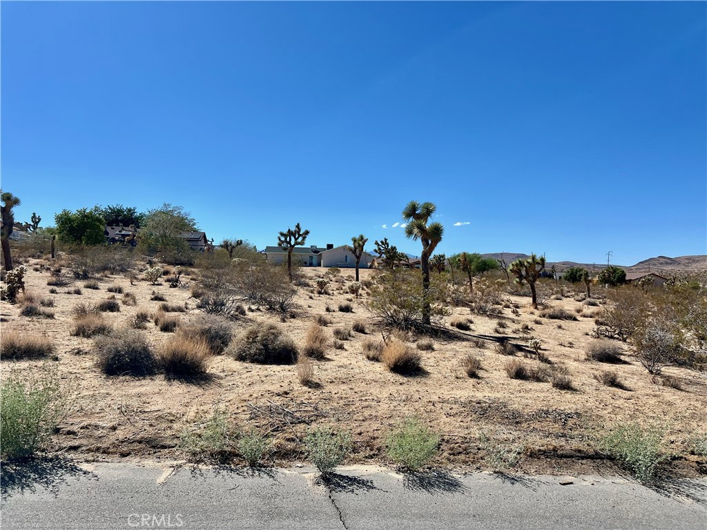 Presenting not just a vacant lot, but a beautiful- LAND OF OPPORTUNITY. This stunning 18,500 sf - .42-acre parcel offers the perfect blend of serene desert escape and convenient access, boasting breathtaking panoramic views of the iconic valley and rugged mountains while being just minutes from the vibrant downtown and the gates of Joshua Tree National Park. This rare offering provides endless possibilities to build your personal dream home, a lucrative Airbnb retreat, or a weekend sanctuary, all on a massive, private lot. This is more than land—it's a foundation for your future, a guaranteed path to ownership, and the most compelling canvas for your vision you will find in Joshua Tree. Your dream home awaits, and it starts here.