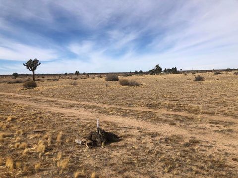 Photo of 0 E 218th Street, Lancaster, CA 93535 (MLS # 219142363DA)