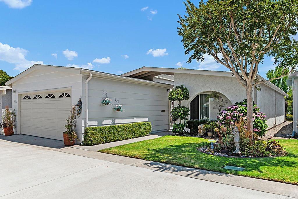3729 Clove Way