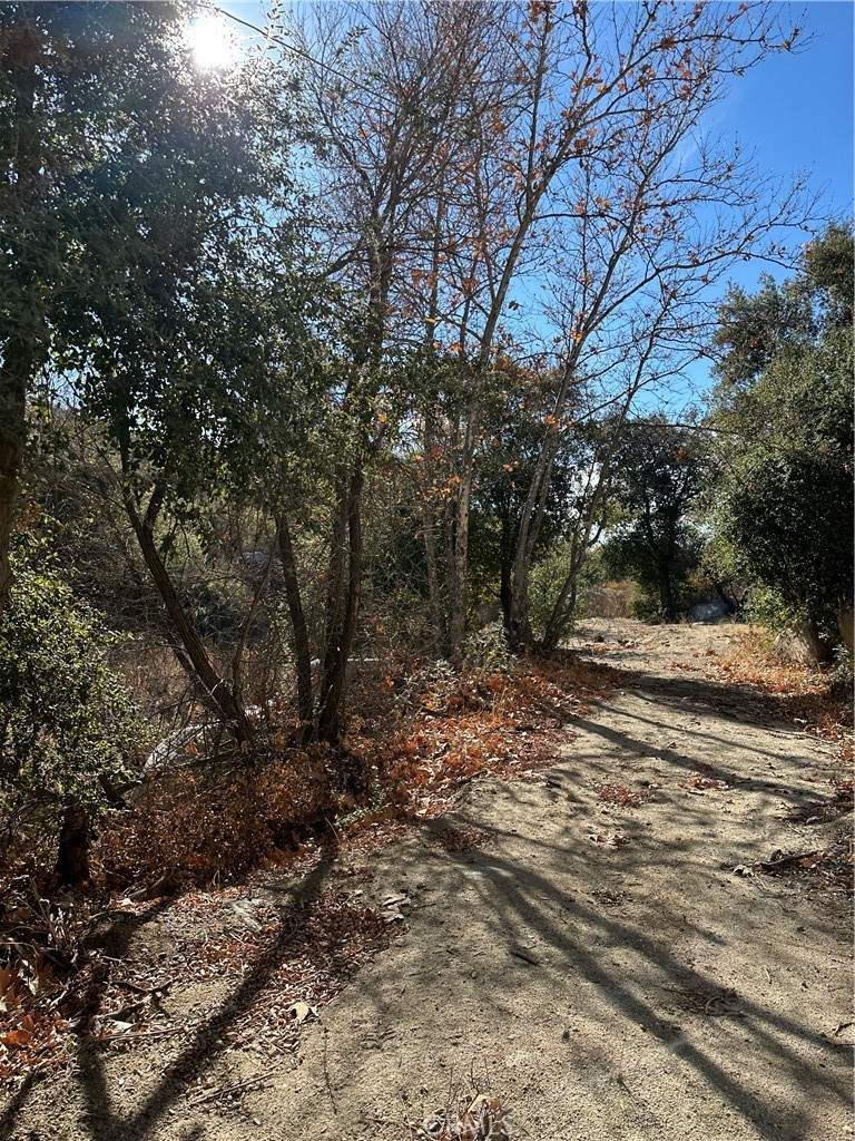 0 Avenida Sierra Rojo Road