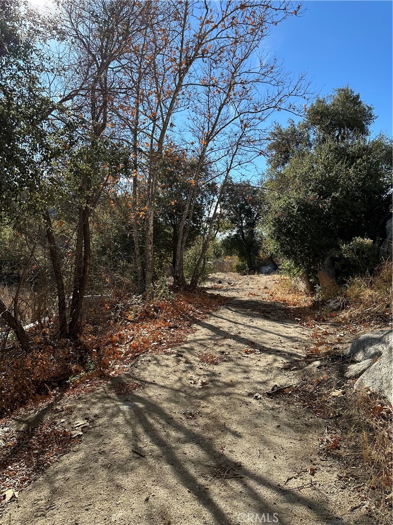 0 Avenida Sierra Rojo Road