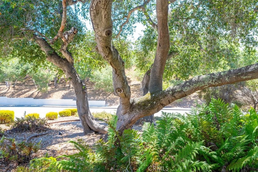 Nipomo(340) - Residential