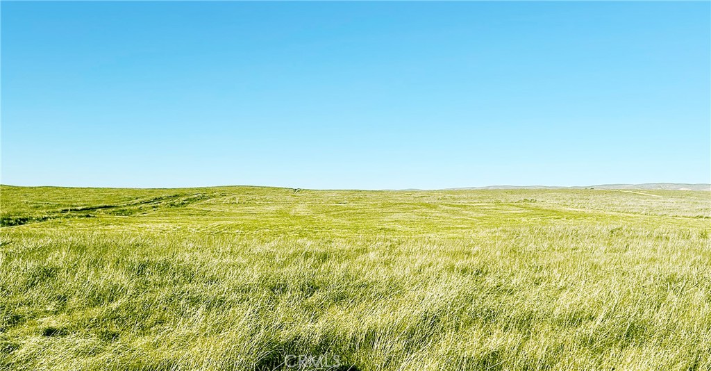 Carrizo Plains/California Valley(62) - Land