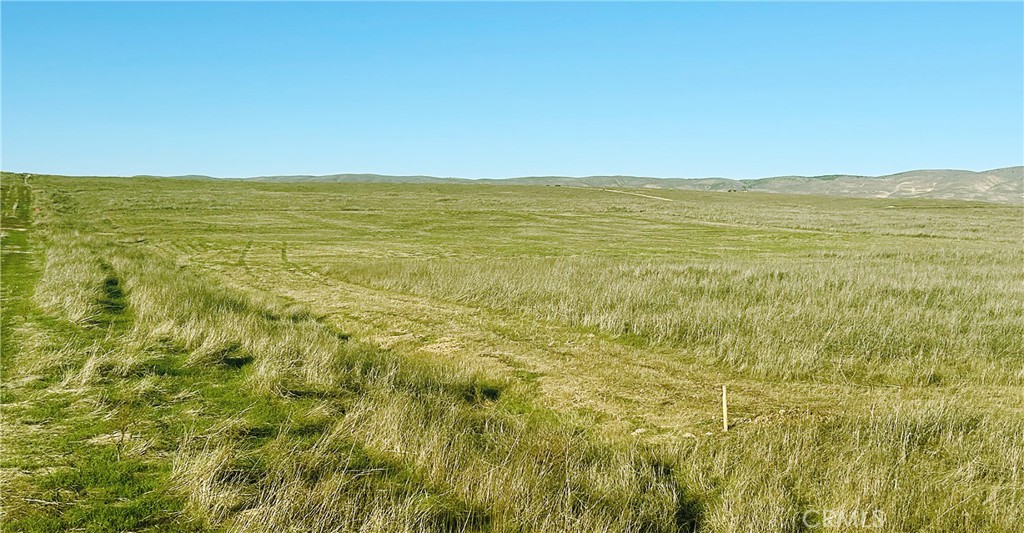 Carrizo Plains/California Valley(62) - Land