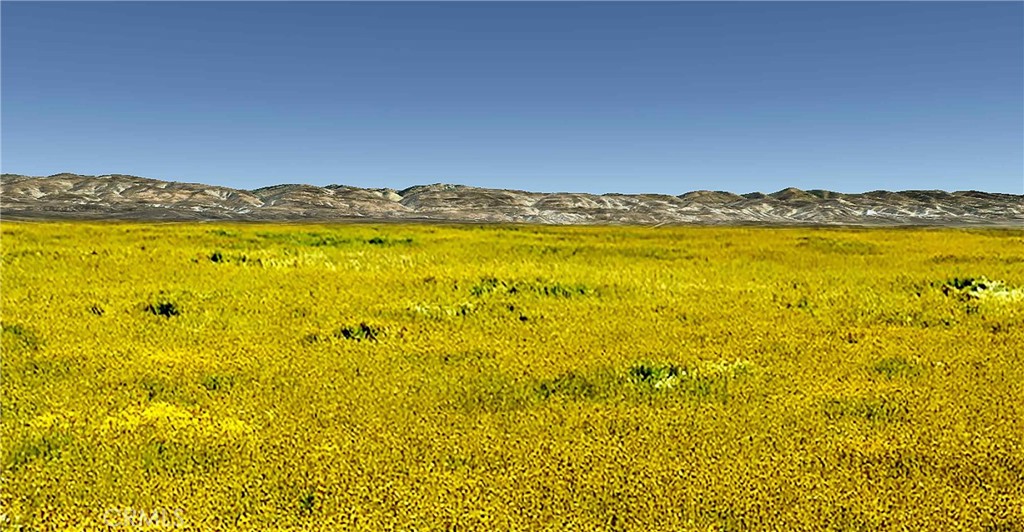 Carrizo Plains/California Valley(62) - Land