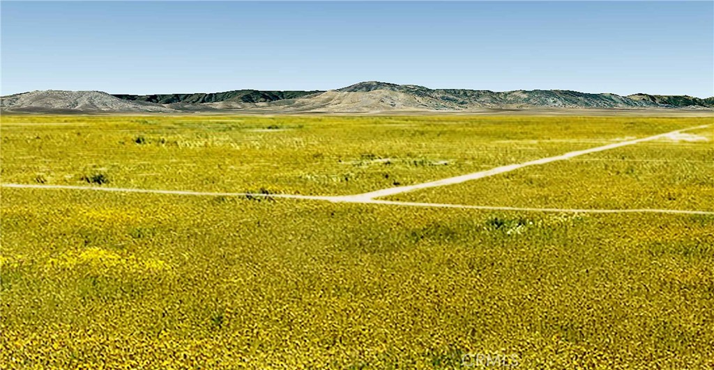 Carrizo Plains/California Valley(62) - Land