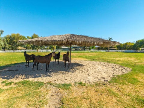 Tiny photo for 84393 61st Avenue, Thermal, CA 92274 (MLS # 219152567DA)