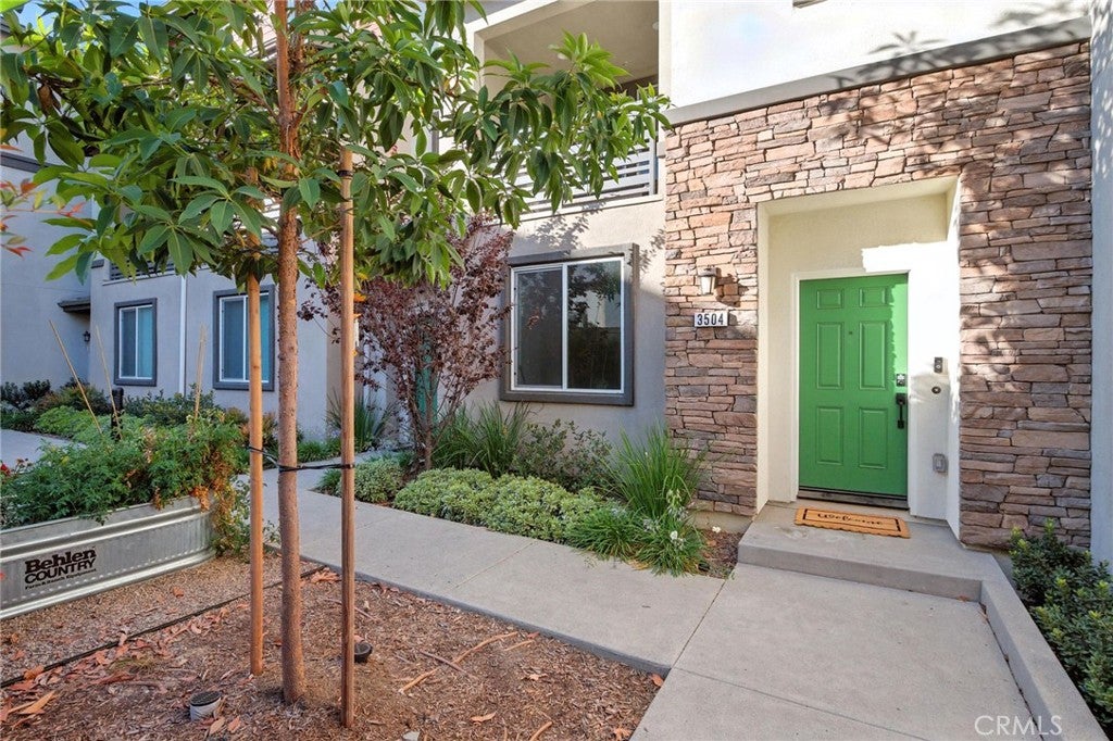 3504 Sequoia