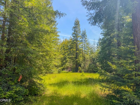 Photo of 28540 Albion Ridge Road, Albion, CA 95410 (MLS # C1-11390)