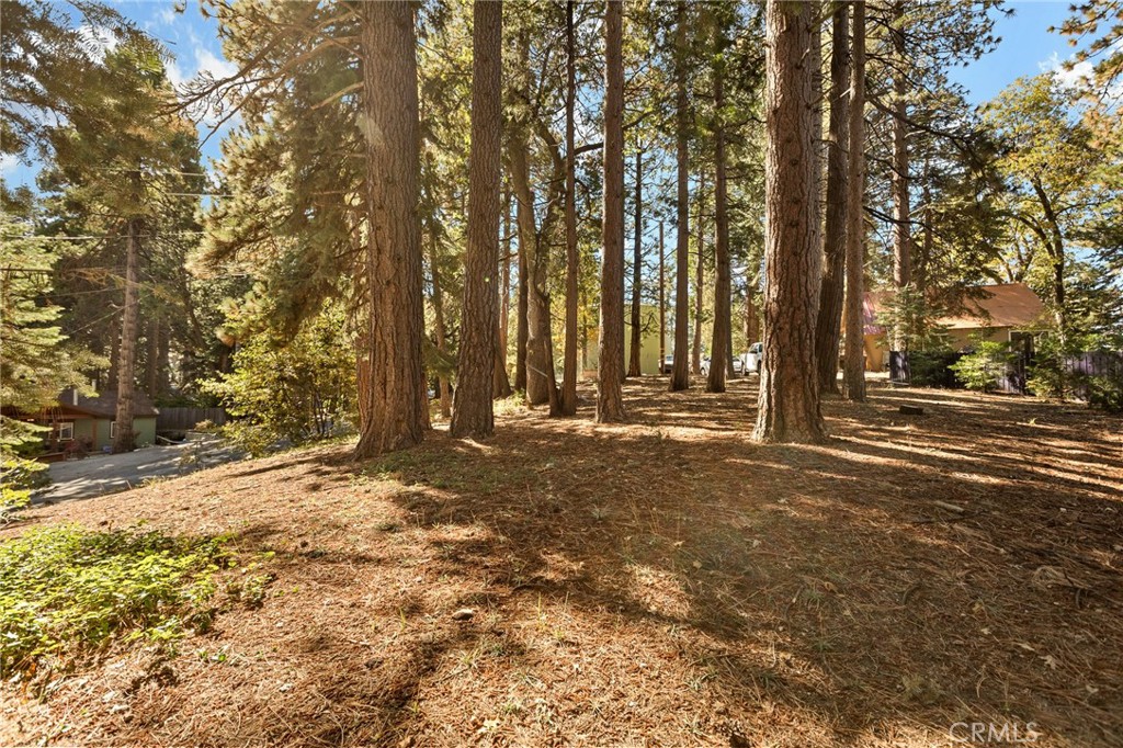 Luring Pines (LUPN) - Land