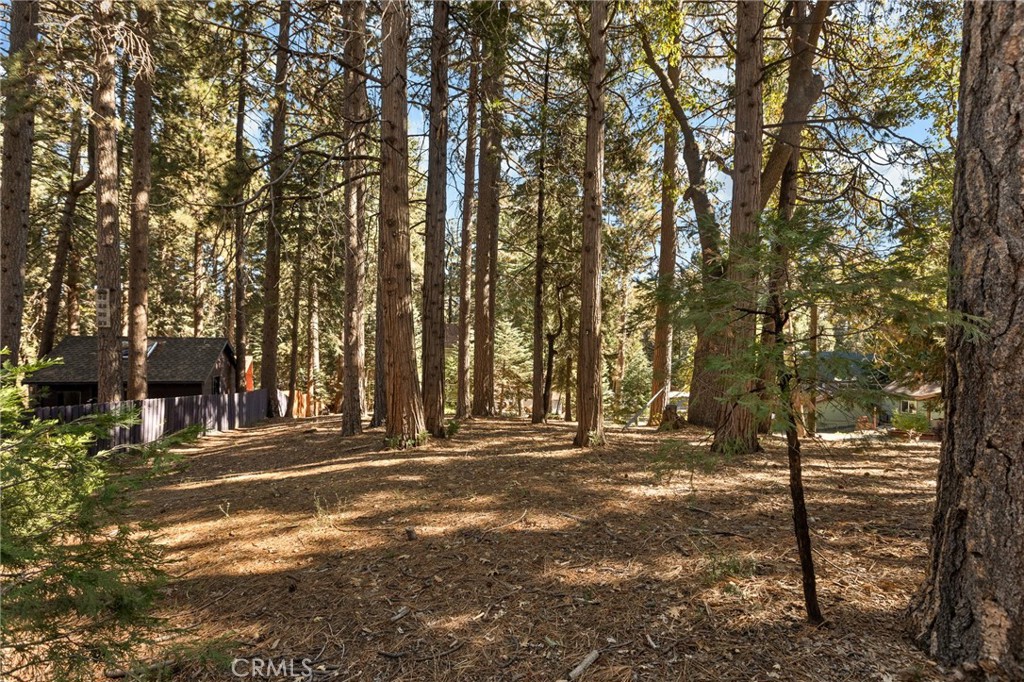 Luring Pines (LUPN) - Land