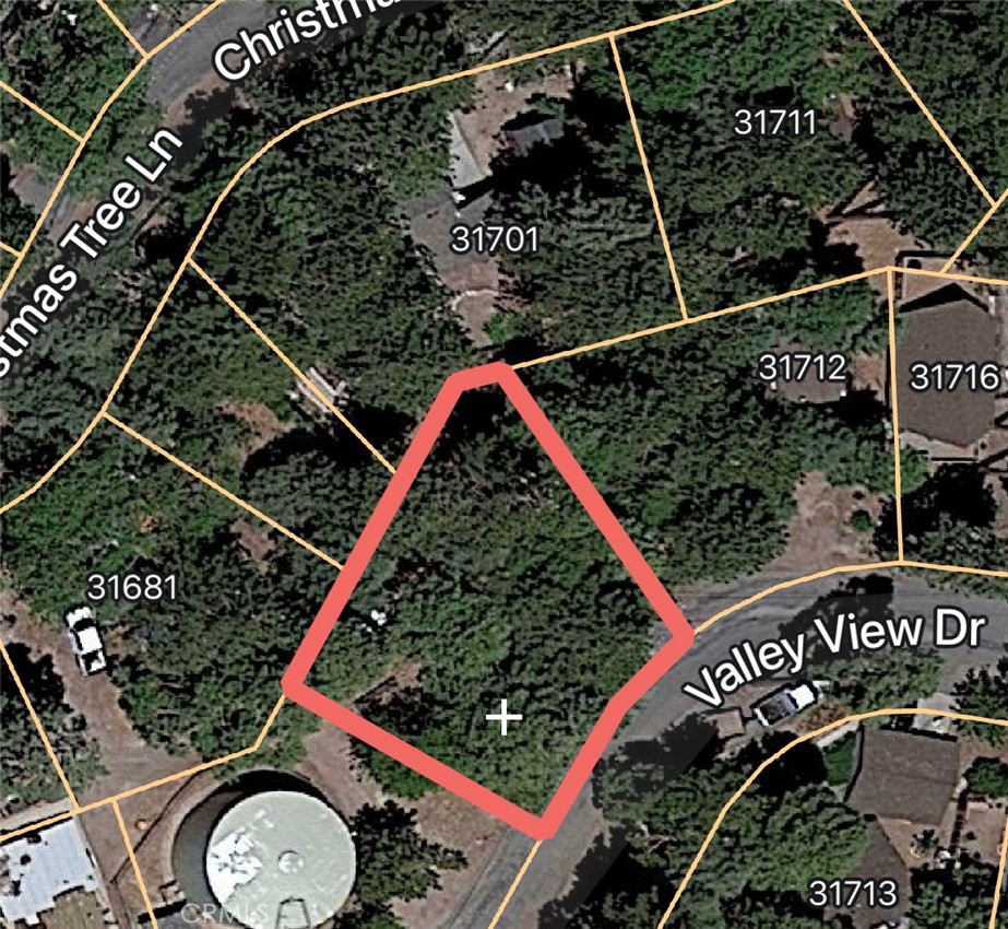 The mountains are calling! Beautiful Treed lot, come build your weekend getaway or full time home in the mountains! Mostly flat, with a gentle slope. Buyer should verify utilities with Southern California Edison, Running Springs water District as well as Socal Gas. Enter 34.2103249,-117.1117345 into your maps and it should take you right there. 31701 Christmas Tree also for sale if you want the ultimate package!