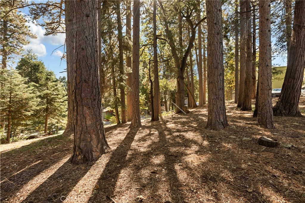 Luring Pines (LUPN) - Land