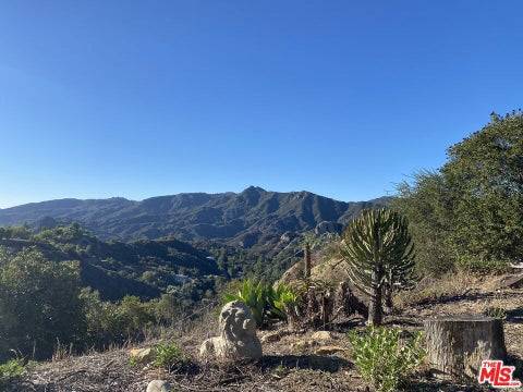Photo of 2177 Old Topanga Canyon Rd, Topanga, CA 90290 (MLS # 26102473)
