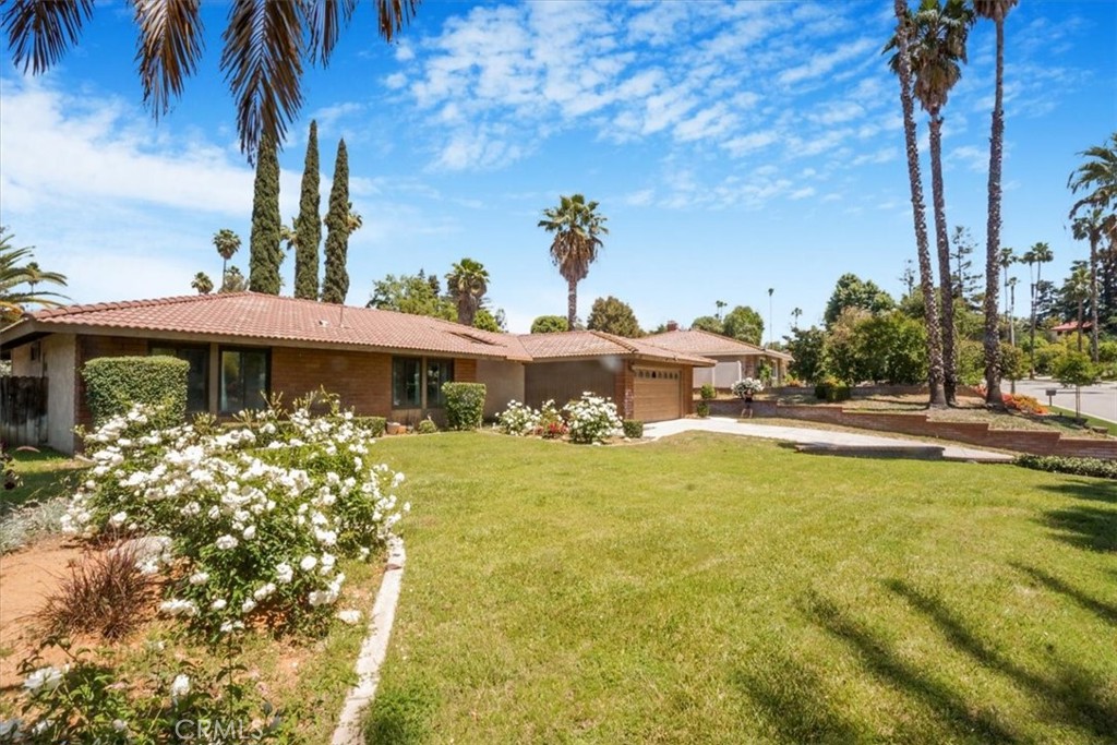 227 Candy Lane