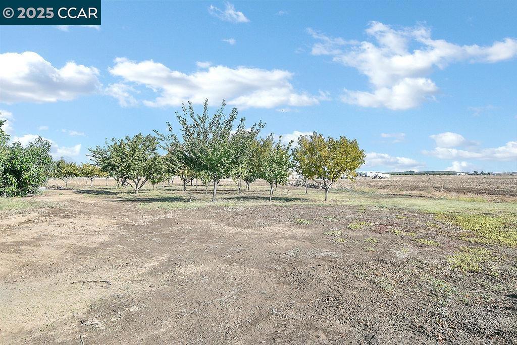 BRENTWOOD - Residential