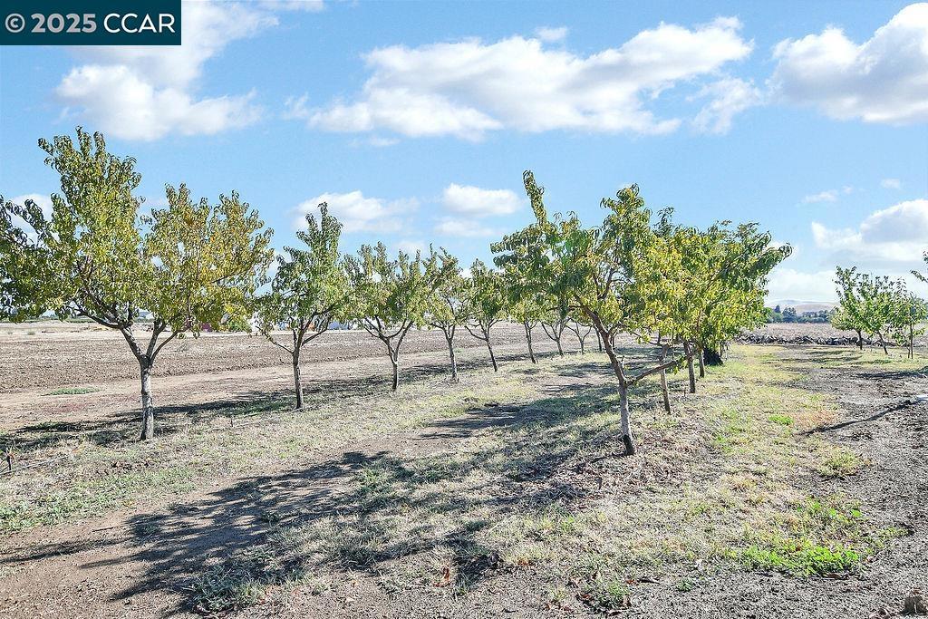 BRENTWOOD - Residential